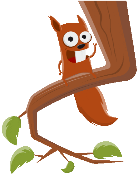 squirrel-in-tree